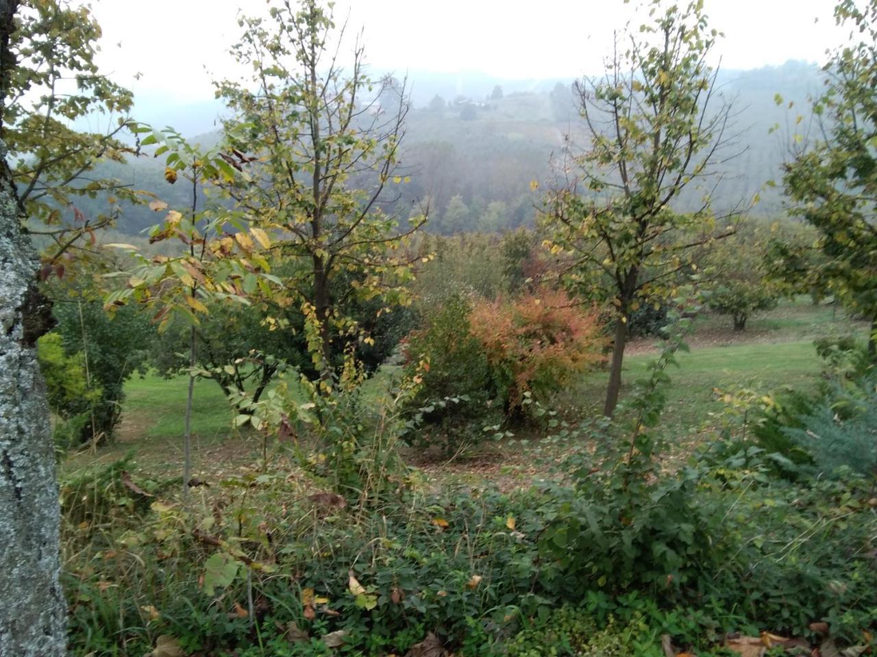 Bed and Breakfast Cascina Baresane Alba  Exterior foto